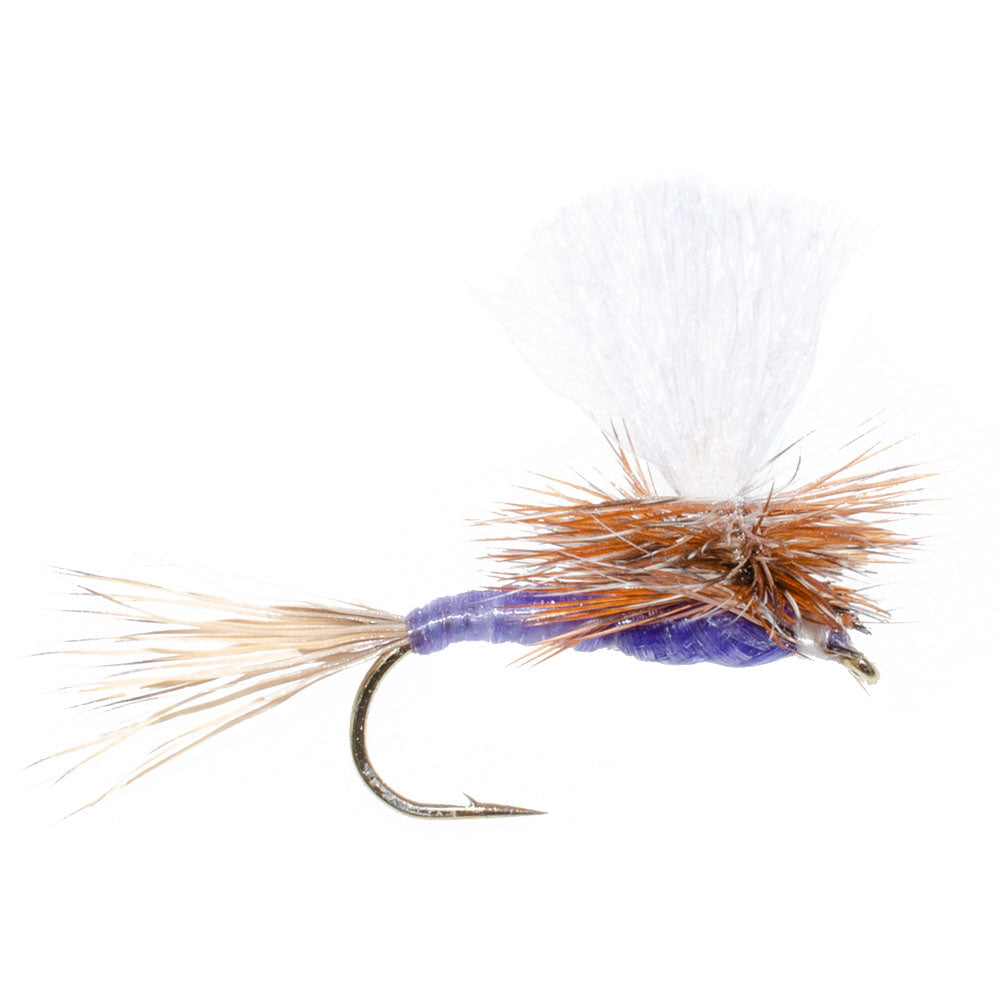 3 Pack Parachute Purple Haze Dry Fly - Size 14