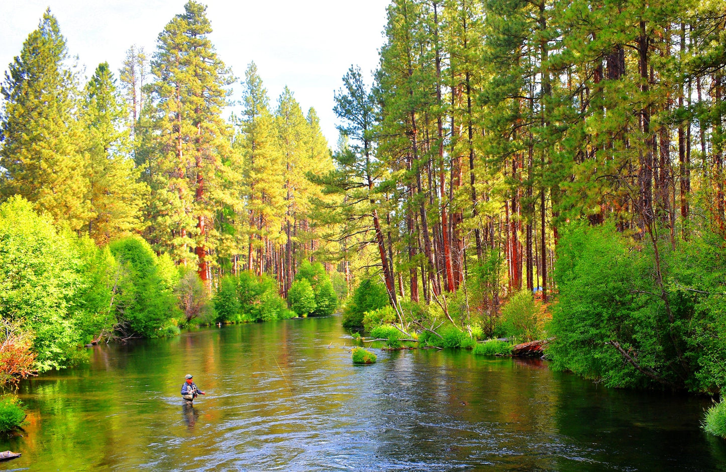 H & L Variant Classic Dry Fly - 6 Flies Hook Size 14