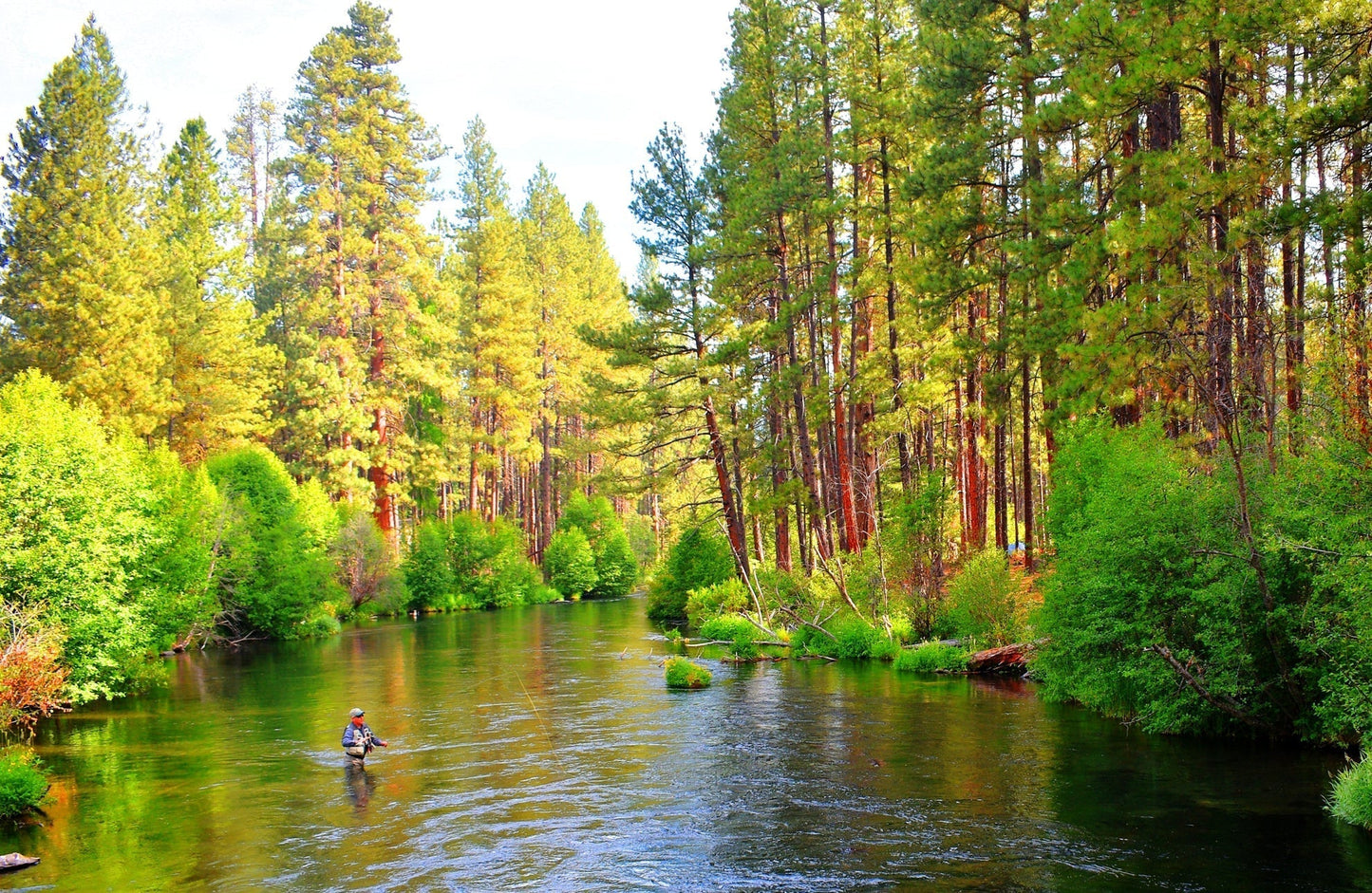 H & L Variant Classic Dry Fly - 1 Dozen Flies Hook Size 16