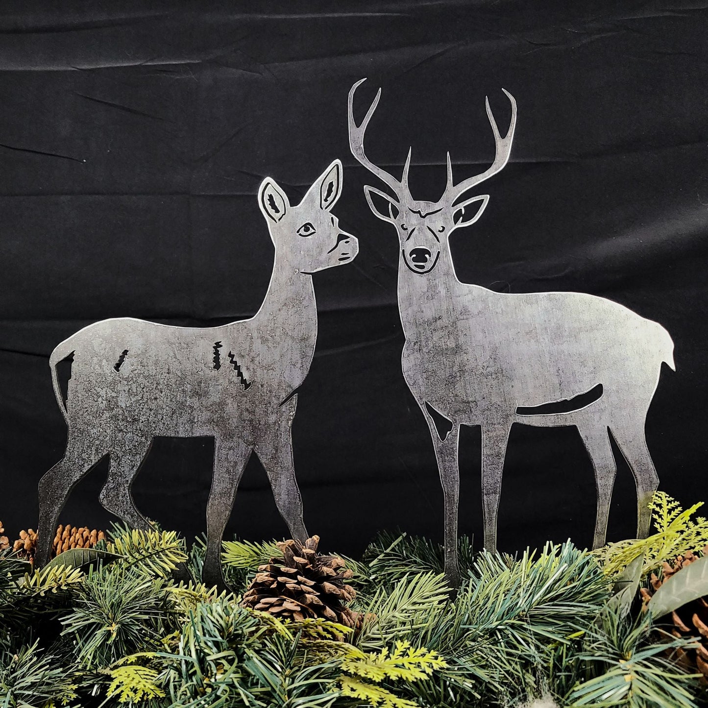 Deer - Buck