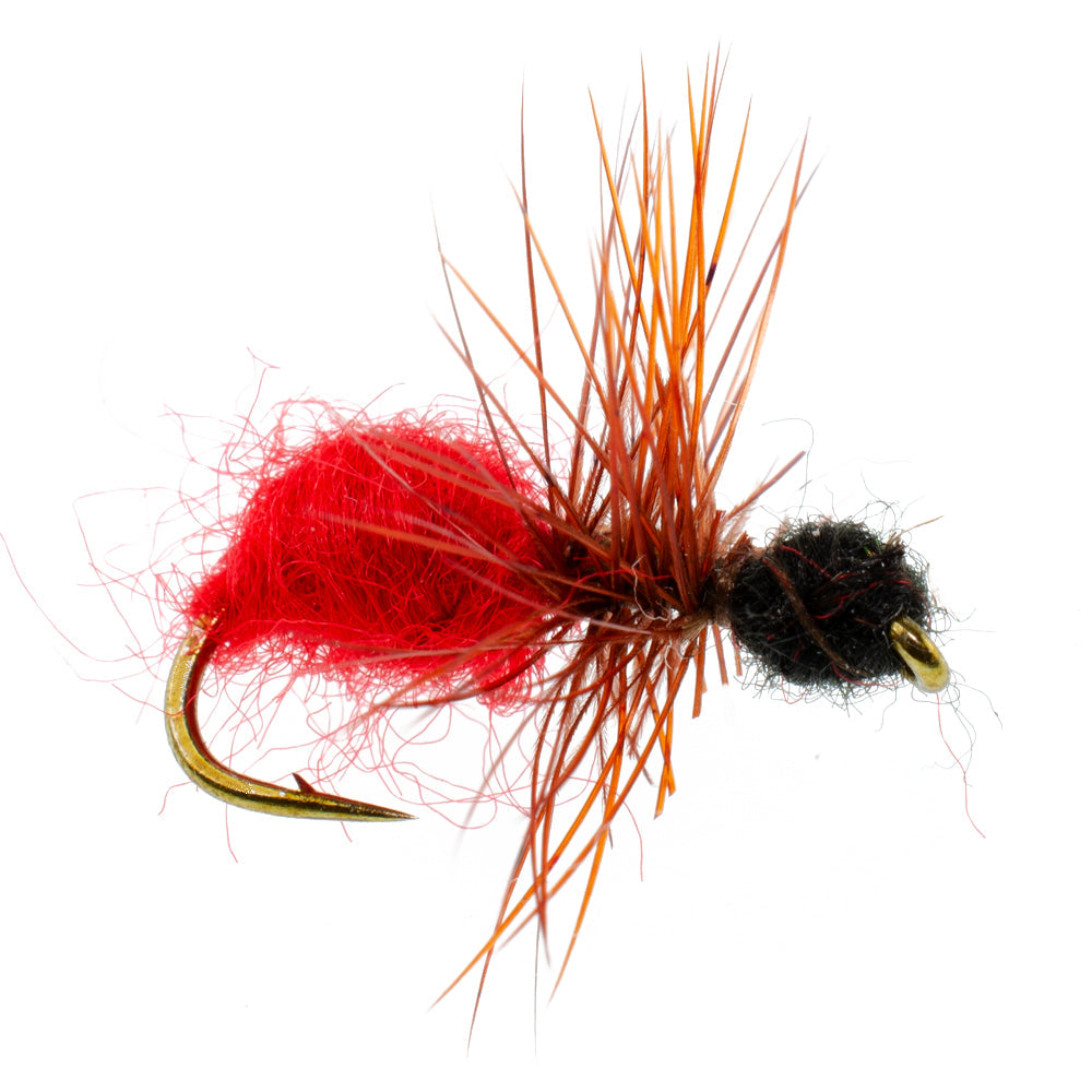 3 Pack Velvet Cowkiller Ant Wasp Terrestrial Trout Dry Fly - Hook Size 12