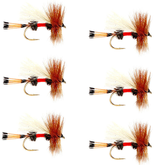 Royal Trude Classic Hair Wing Dry Fly - 6 Flies Hook Size 16