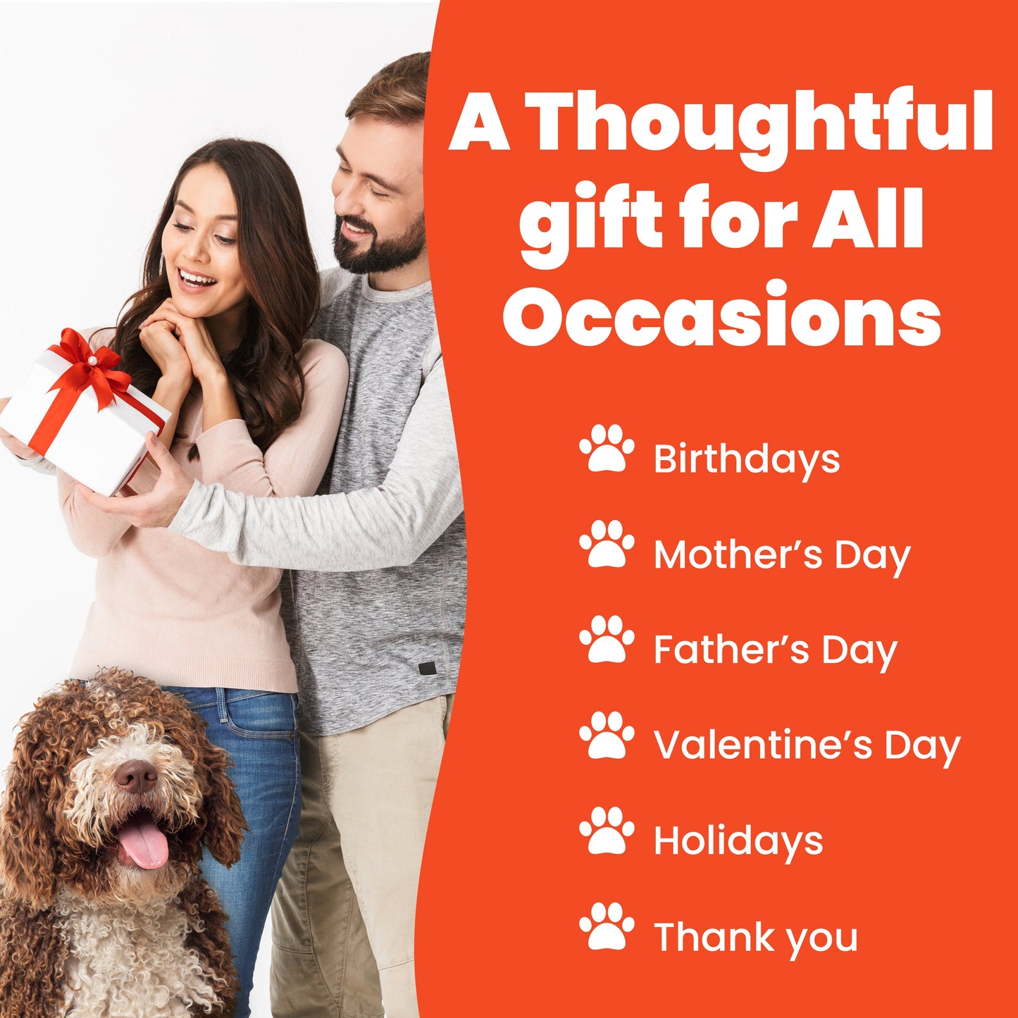 Dog-Themed Stylus Pen Sets & Refills