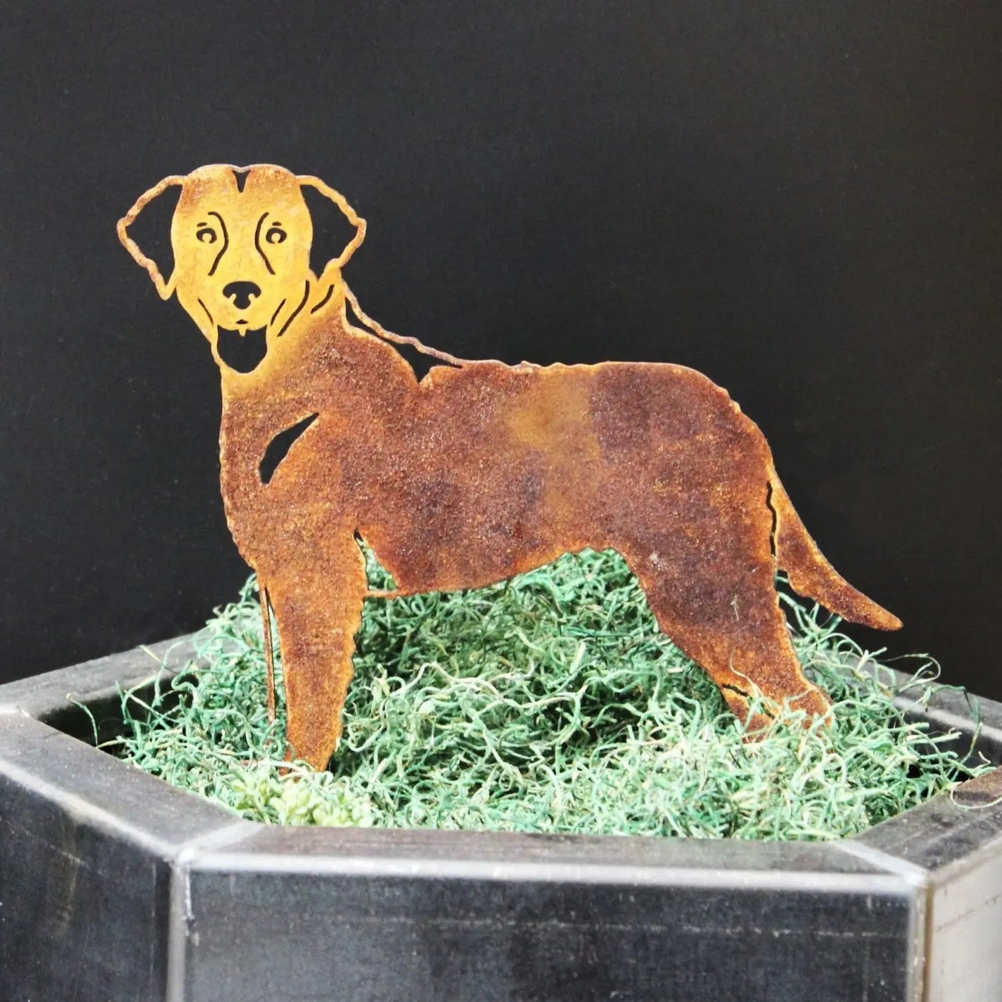 Chesapeake Bay Retriever Metal Art – Handmade Steel Dog Silhouette