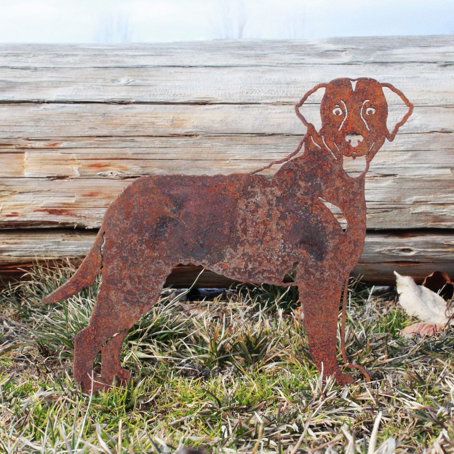 Chesapeake Bay Retriever Metal Art – Handmade Steel Dog Silhouette