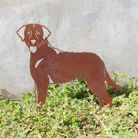 Chesapeake Bay Retriever Metal Art – Handmade Steel Dog Silhouette