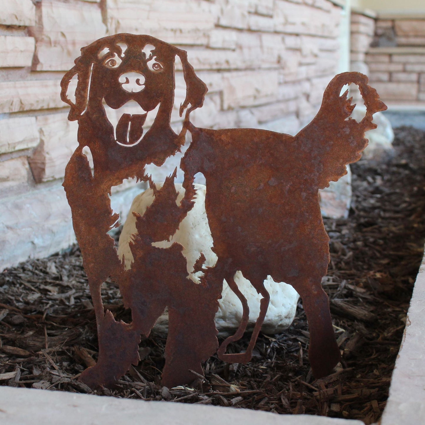 Golden Retriever - Standing