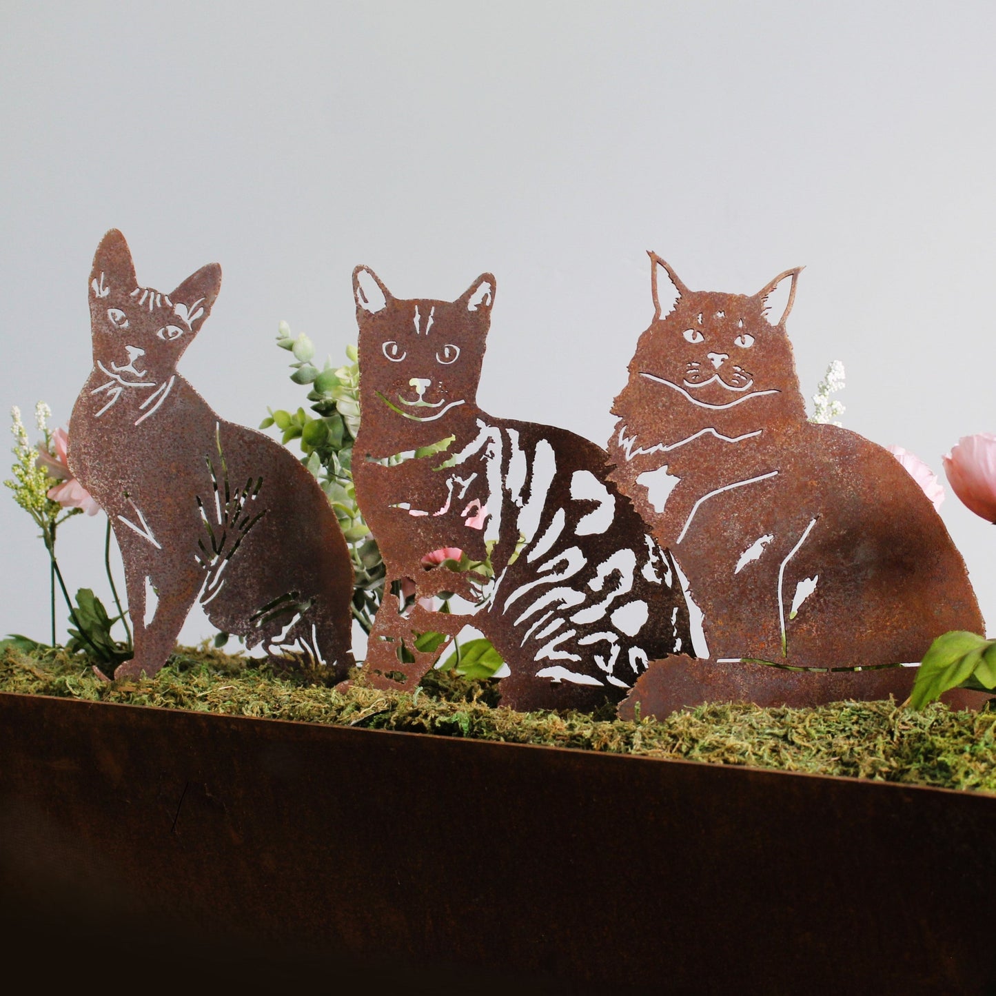Bengal