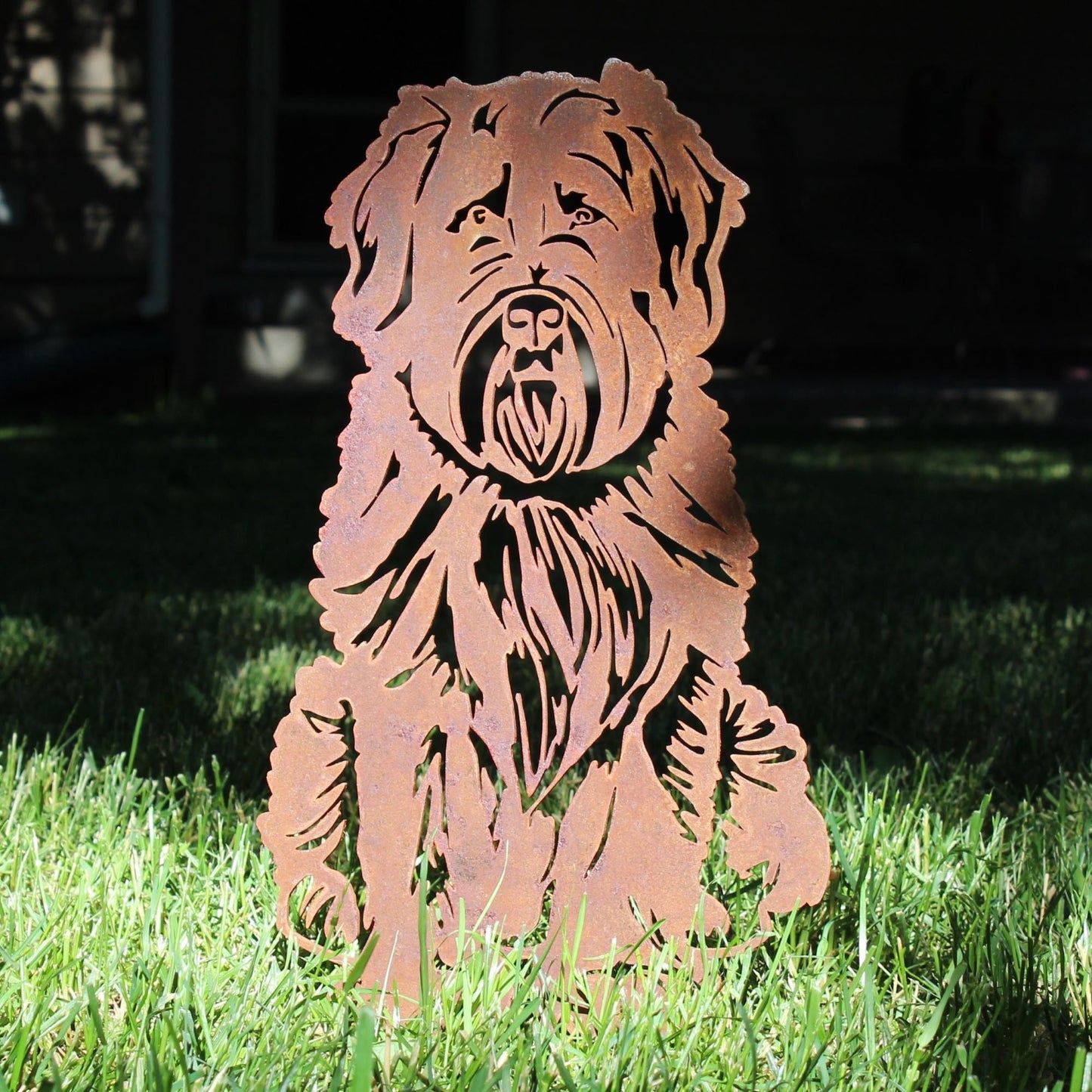 Bouvier Des Flandres