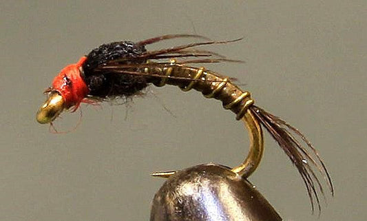 Split Foam Back™ - Orange Head Baetis