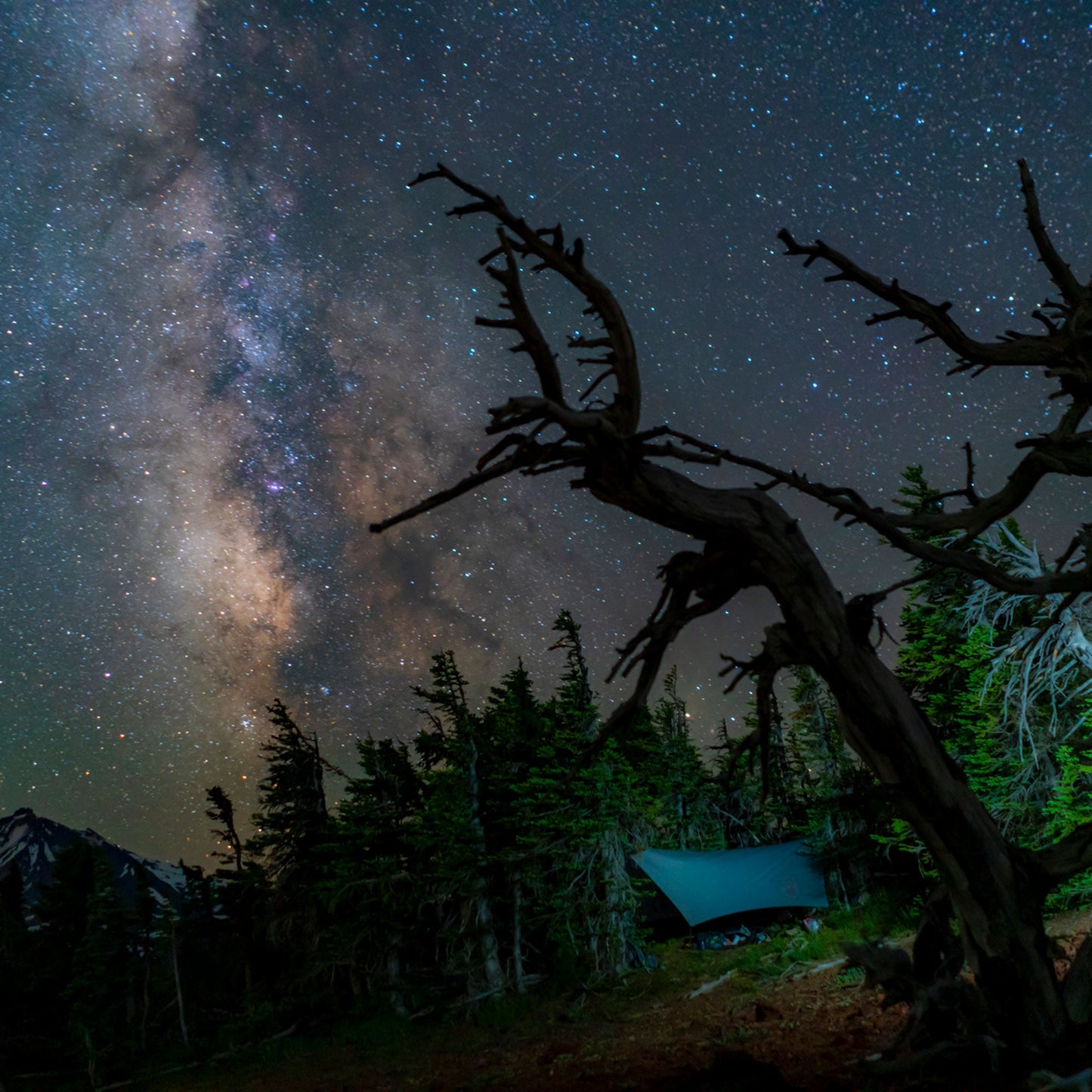 Grand Trunk Air Bivy All Weather Shelter & Hammock