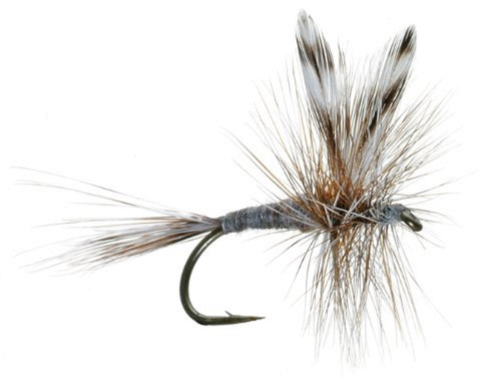 3 Pack Barbless Adams Classic Dry Fly - Hook Size 12