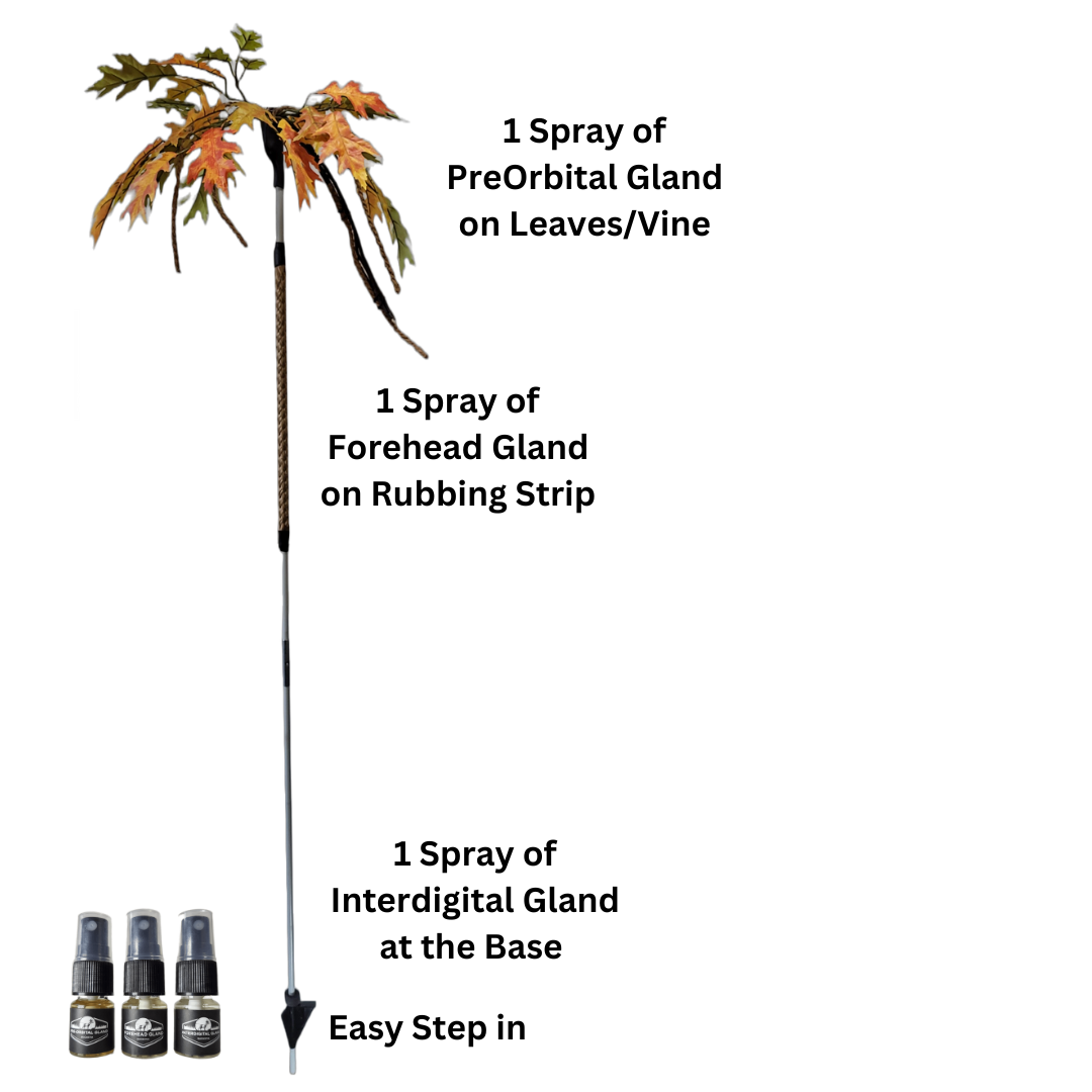 BuckStik w/ 3 pack of Glands