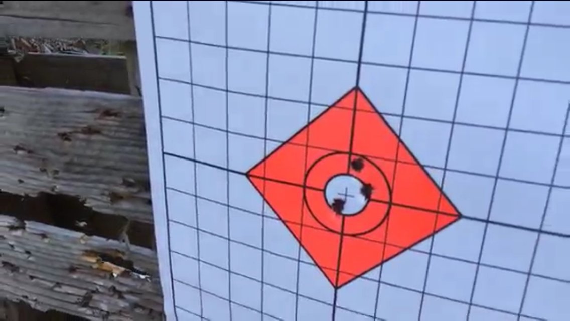 EZ2C Targets Style 13: Shooting Range Paper Target w 1" Grids 11"x17USA MADE