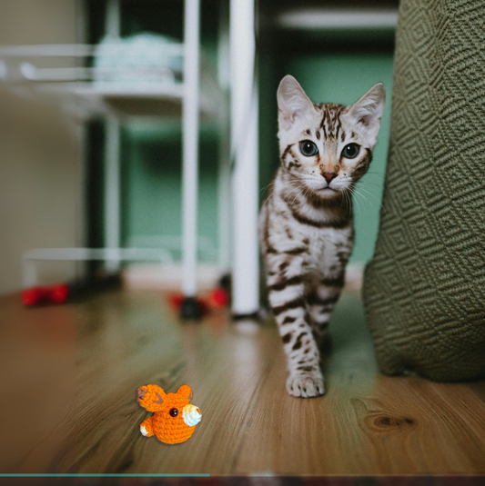 Handmade Catnip Toy | TJ the Fox Chunkle Puff Infused with Miracle Nip Botanicals