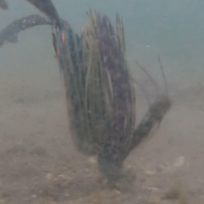 Reaction Tackle Lead Flipping Jigs- 3-PACK - New