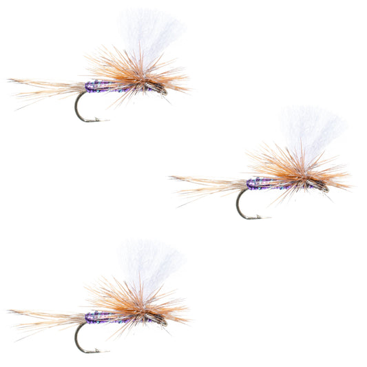 3 Pack Parachute Super Flash Purple Haze Dry Fly - Size 18
