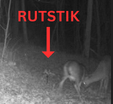RutStik