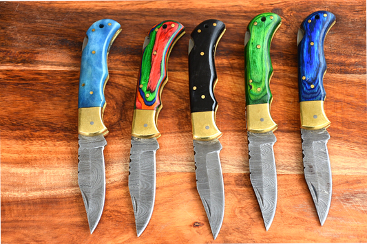 Back Lock Mechanism Folding Pocket Knives with 5 Variants of Handle Materials and Brass Bolster, 3-inch Blade Length